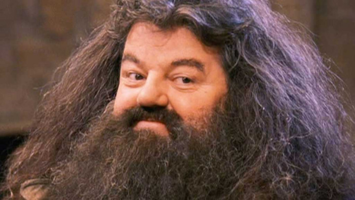 Viral, Ucapan Robbie Coltrane Soal Hagrid dan Harry Potter Ini Bikin Sedih