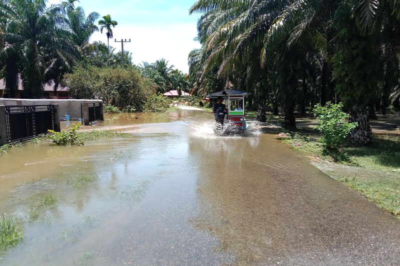 Warga Terdampak Banjir di Gadih Angik Dievakuasi Pakai Perahu