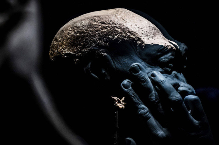 Indonesia Tagih Koleksi Seni Termasuk Fosil Homonid yang Dijarah Belanda