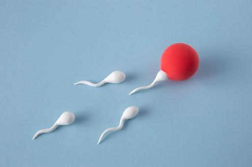 Waspada Asthenozoospermia Ketika Laju Sperma Tidak Lincah