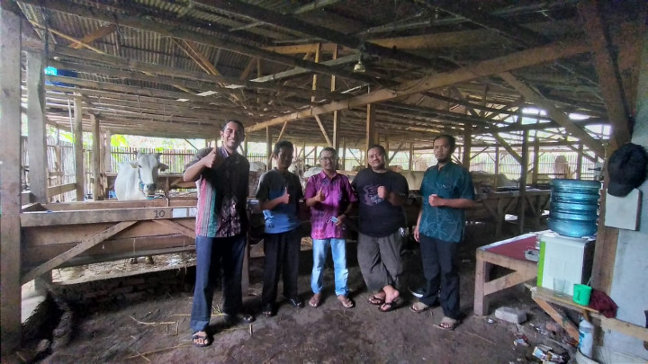 Dosen IPB Bantu Peternak Siapkan Sapi Sukses Kawin