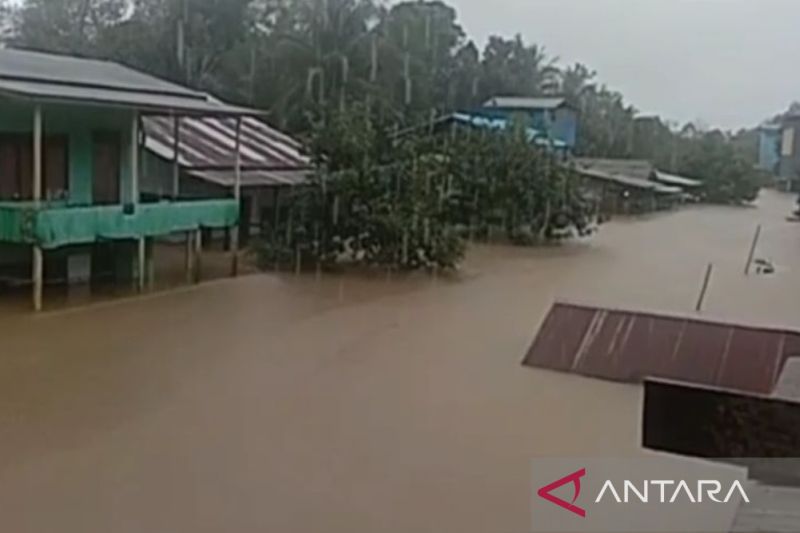 Warga Desa Asam Jelai Ketapang Terancam Krisis Sembako