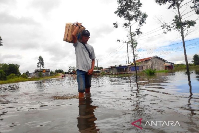 24 Ribu Lebih Warga Kotawaringin Barat Terdampak Banjir