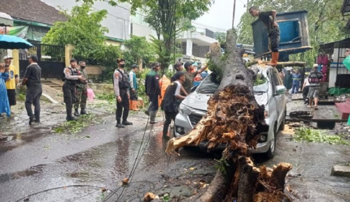 Pohon Tumbang Timpa Sebuah Mobil di Blitar, Dua Bersaudara Tewas
