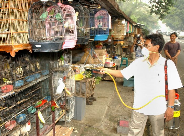 Akhirnya, Pasar Burung Barito Selesai Direnovasi