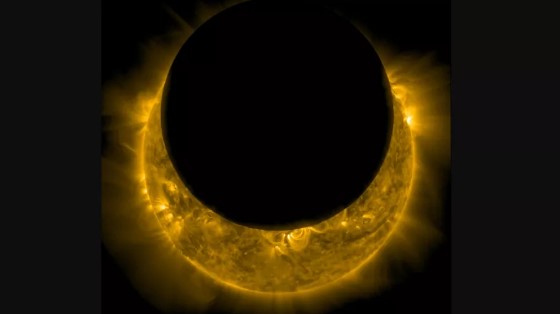 Menatap Gerhana Matahari dengan Mata Telanjang Bisa Bikin Buta, Ini Faktanya