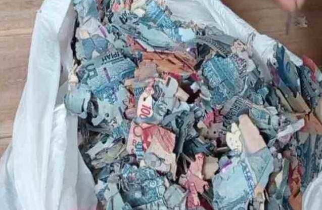 Hasil Jual Mobil, Uang Kertas Rp35 Juta Milik Warga Madiun Ludes Dimakan Rayap