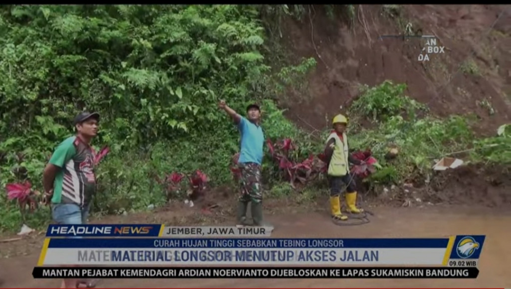 Tebing Setinggi 20 Meter Di Jember Longsor