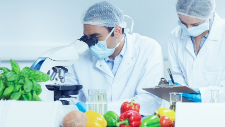 Riset Pangan Fungsional, Mahasiswa UPH Ini Sulap Daun Pepaya Jadi Jeli Sehat