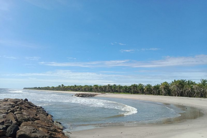 100 Hektare Lahan KUD di Agam Terkena Abrasi