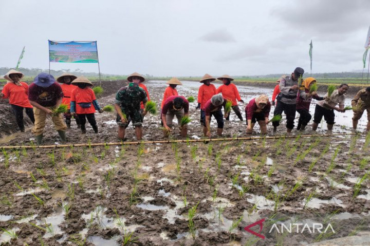 Stok Kebutuhan Pokok di DIY Aman Hingga Akhir Tahun