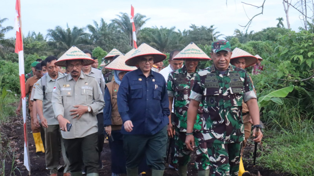 Wamentan Nilai Food Estate Korem 012/Teuku Umar Aceh Bisa Menjadi Contoh