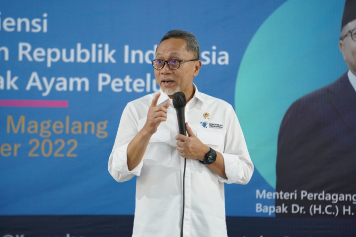 Mendag Tegaskan Pemerintah Bakal Terus Lindungi Peternak Ayam Petelur