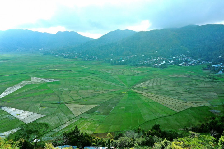 Kesepakatan Ketersediaan Pangan Harus Lahir saat KTT G20 di Bali