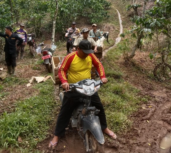 Harimau Teror Warga Balikbukit Lampung Barat, Warga dan Ternak Dievakuasi