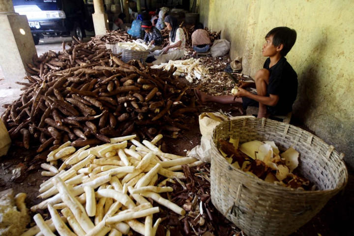 Mendag Bakal Subsidi Tepung Mocaf
