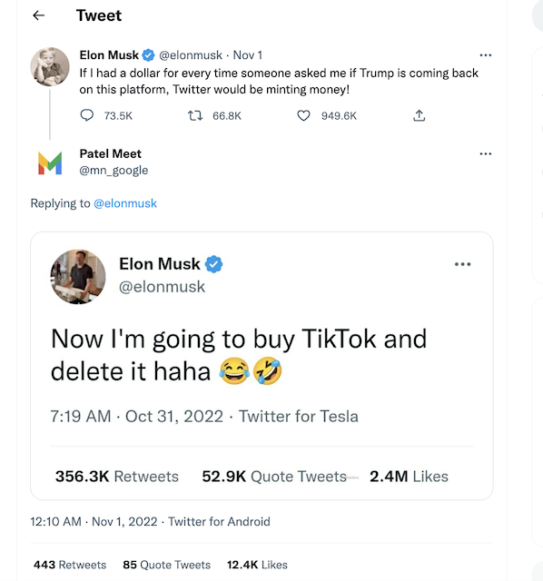 [Cek Fakta] Elon Musk Akan Beli TikTok dan Menghapusnya? Begini Faktanya