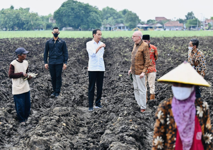 Tekan Impor Minyak Mentah, Pemerintah Minta Dua BUMN Kembangkan Hilirisasi Tebu