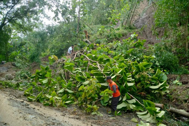 Longsor Putus Jalur Selatan Trenggalek Perbatasan Pacitan