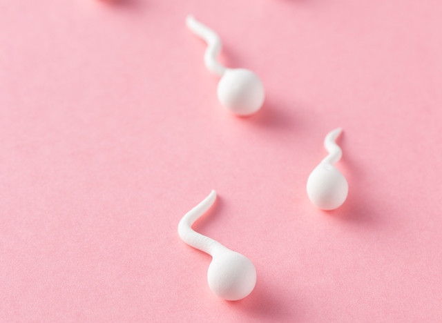 Menelan Sperma, Berbahayakah?