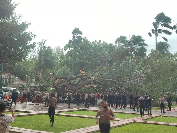 5 Polisi dan 55 Motor Tertimpa Pohon Tumbang di Balai Kota DKI