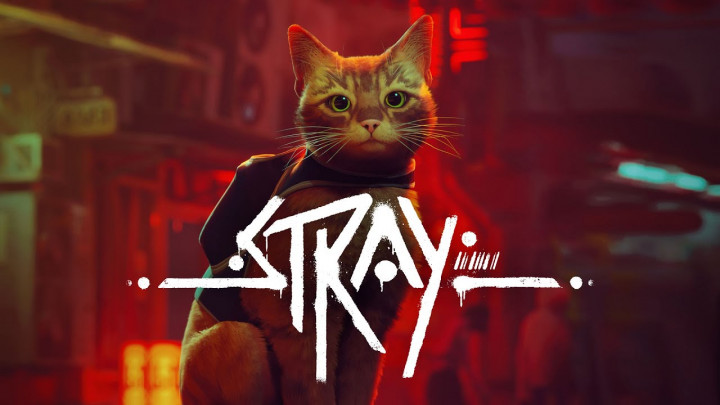 Ikut Petualangan Kucing Oren di Stray