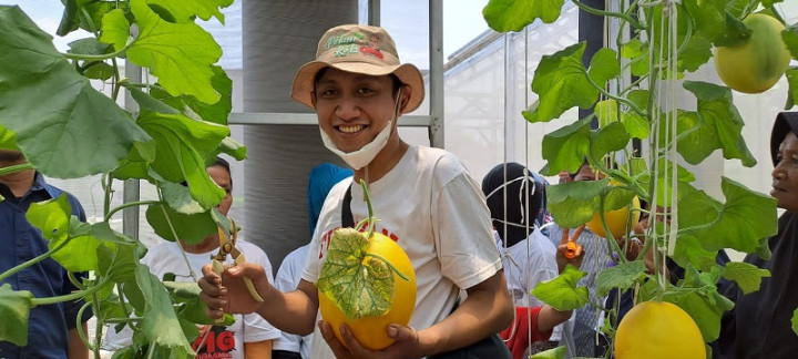 Petani Kota di Duren Sawit Dapat Bantuan <i>Green House</i>