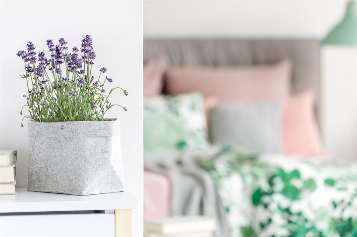 Populer Properti: Tanaman Plastik Buruk untuk Feng Shui hingga Potret Masjid Sheikh Zayed