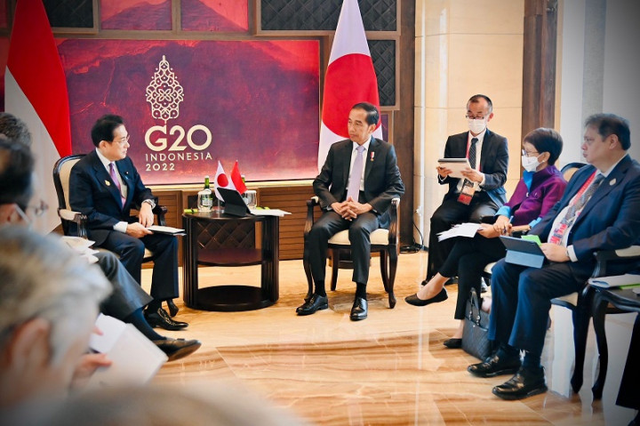 Terima PM Jepang, Jokowi Ingatkan Kesuksesan G20 sebagai Tanggung Jawab Bersama