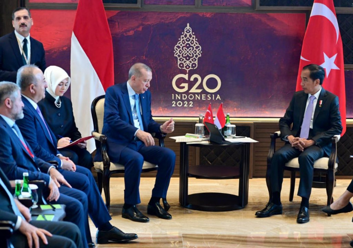 Bertemu Erdogan, Jokowi Bahas Konflik Rusia-Ukraina