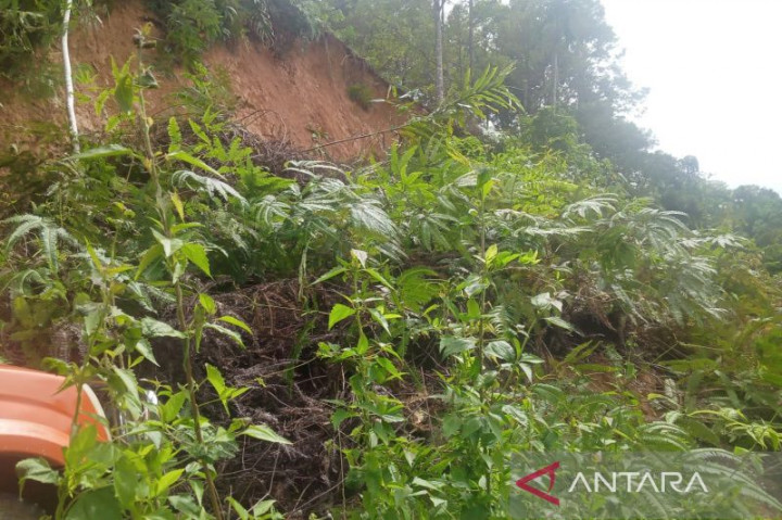Gubernur Bengkulu Minta BPBD Siagakan Alat Berat di Wilayah Rawan Longsor