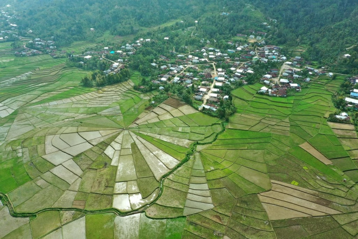 <i>Food Estate</i> Dinilai Jadi Jurus Jitu Hadapi Krisis Pangan