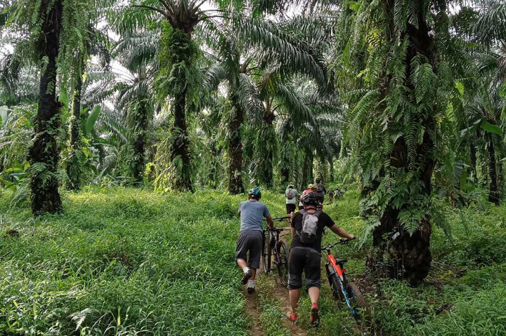Menikmati Pesona Alam dari Puncak Rarata dengan Bersepeda