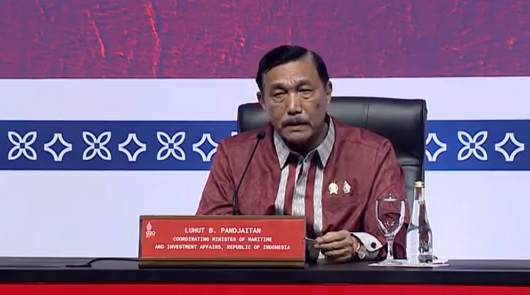 Janji Luhut ke Cucu Perempuan, Bikin Ekonomi RI Makin Hijau