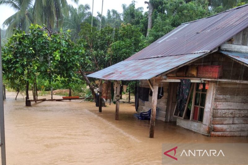 Salah satu rumah warga di Kecamatan Ipuh, Kabupaten Mukomuko, Provinsi Bengkulu, yang terendam banjir, Kamis, 17 November 2022. Antara/HO-IBPBD Mukomuko