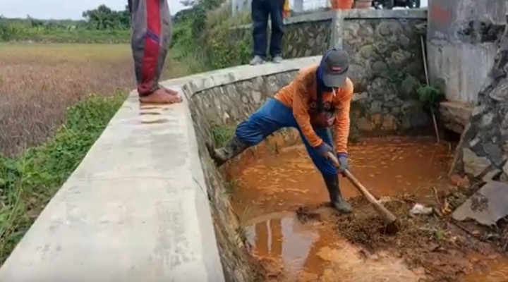 Limbah Pabrik Baja Rusak Puluhan Hektare Padi di Lamongan