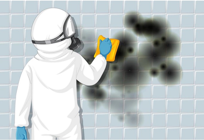 Musim Hujan Dinding jadi Jamuran? Ini 5 Faktor Penyebab dan Cara Mengatasinya