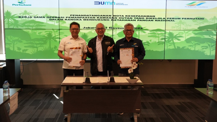 Gandeng Holding PTPN III, Perhutani Optimalkan Kawasan Hutan untuk Ketahanan Pangan
