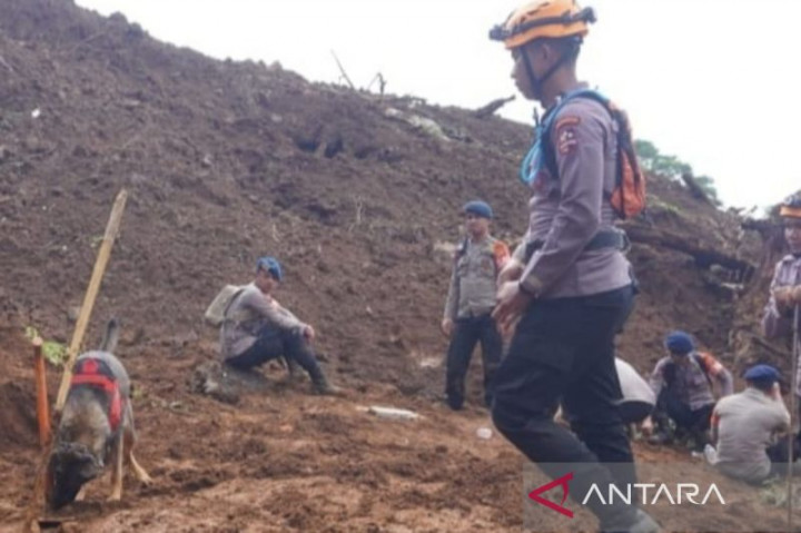 10 Ekor Anjing Pelacak Bantu Cari Korban Gempa Cianjur
