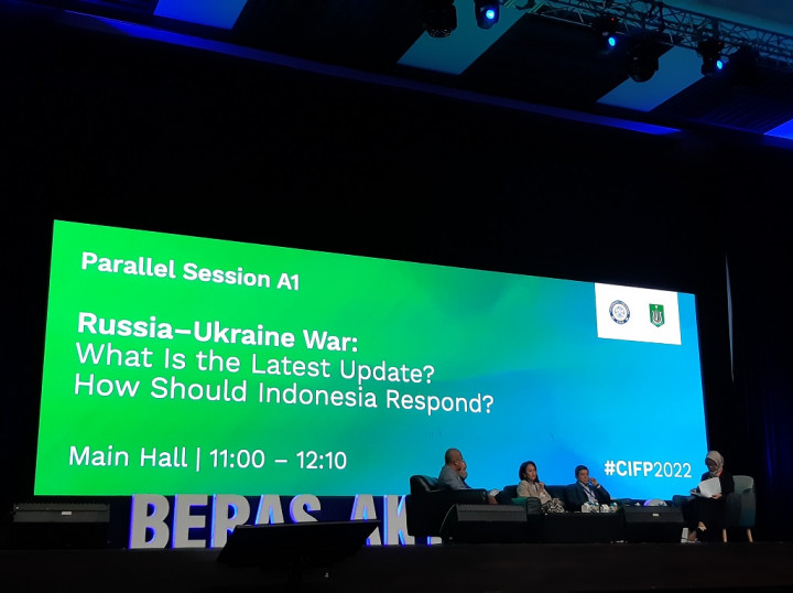 Pengamat: Selama Rusia Tak Berubah, Perdamaian dengan Ukraina Sulit Digapai