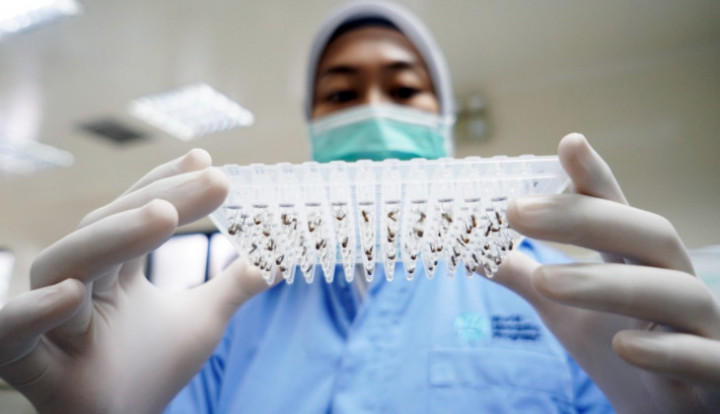 Wolbachia, Inovasi untuk Pengendalian Demam Berdarah Dengue Global