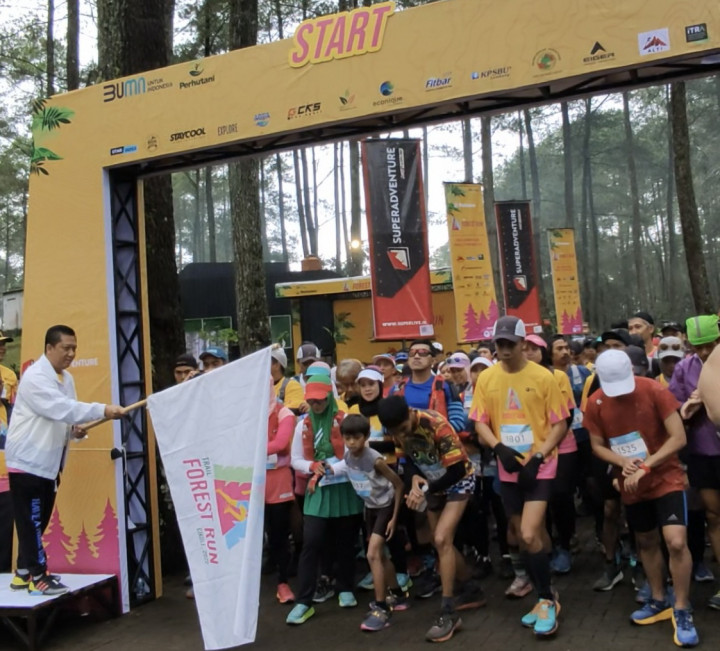 Sensasi Healing dengan Berlari Melintasi Hutan