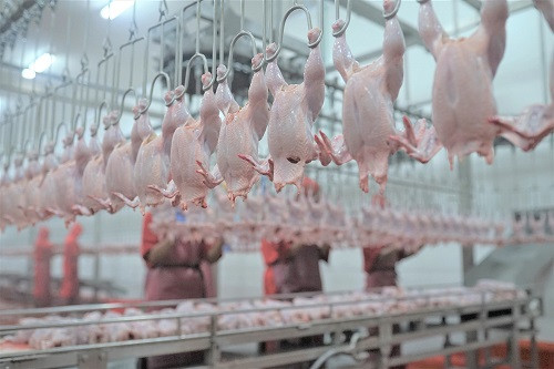 Kuartal III-2022, WMUU Cetak Laba Bersih Rp91 Miliar