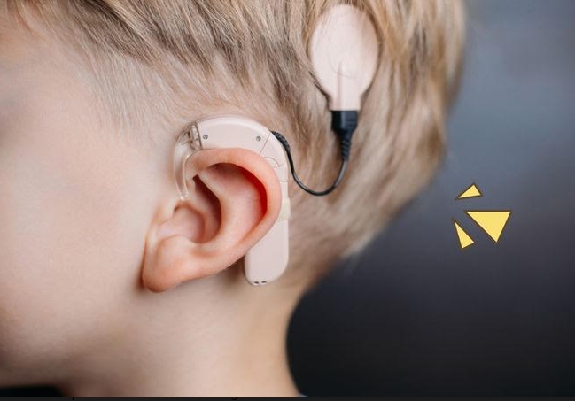Dok: National Institute on Deafness and Other Communication Disorders