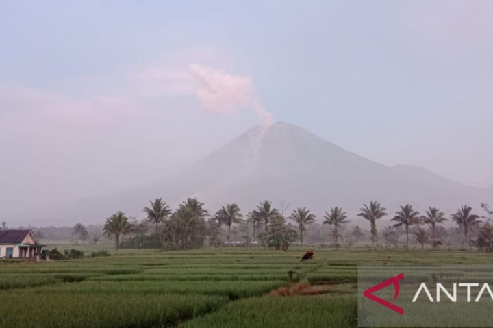 Gunung Semeru Masih Luncurkan Awan Panas Guguran