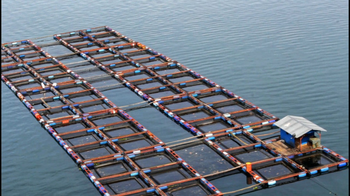 Optimalisasi Danau Toba Perlu Kedepankan Tata Kelola Pembangunan Berkelanjutan