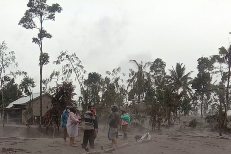 Sejumlah warga di lokasi terdampak bencana awan panas guguran Gunung Semeru, Kabupaten Lumajang, Minggu (4/12/2022). (ANTARA/HO-SAR Surabaya)