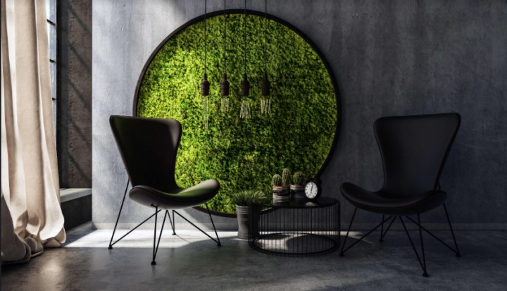 Lumut sebagai Moss Wall Art, Begini Manfaatnya untuk Ruangan