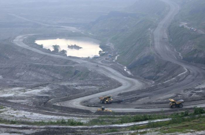 MIND.ID Andalkan Reforestasi untuk Tekan Emisi Karbon