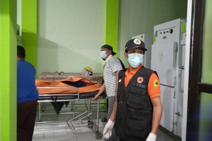 1 Orang Meninggal Tertimpa Pohon di Jember